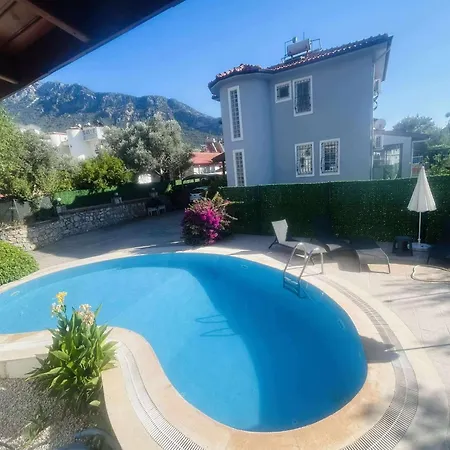 فيلة Lynste فتحية