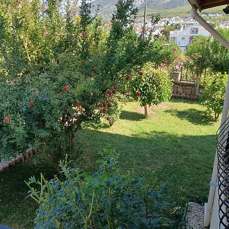 Lynste Φετιγιέ